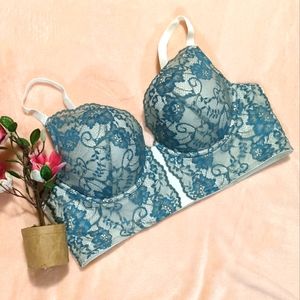 EUC Torrid Bra sz 42C